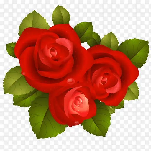 手绘红色玫瑰鲜花图片