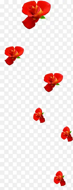 红色手绘鲜花花朵美好玫瑰