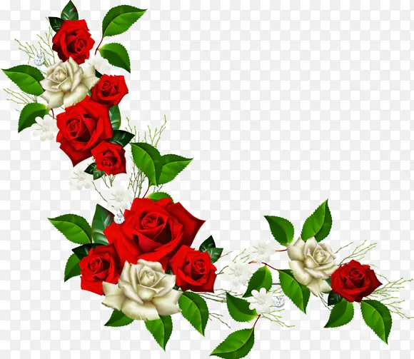 红白玫瑰花边框