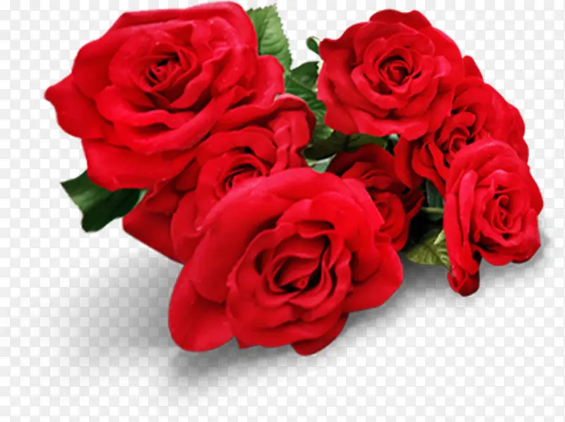 红色中式玫瑰花朵