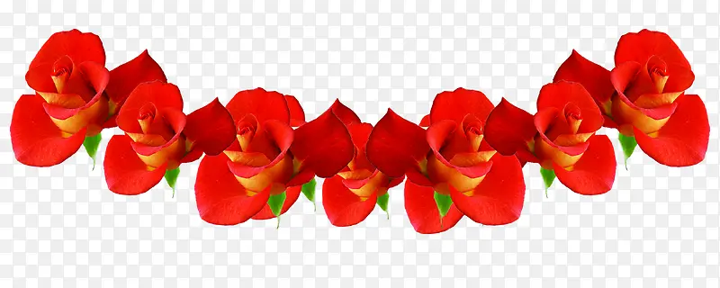 红色鲜花玫瑰花朵装饰