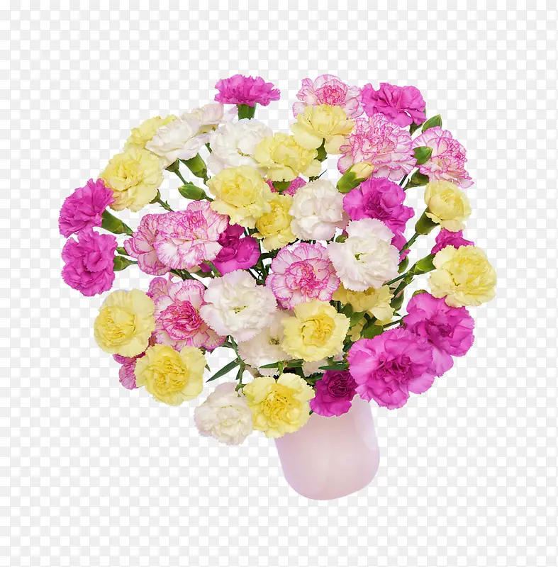 母情节美丽花朵