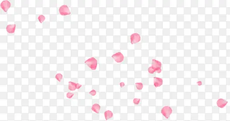 粉红花瓣玫瑰花漂浮