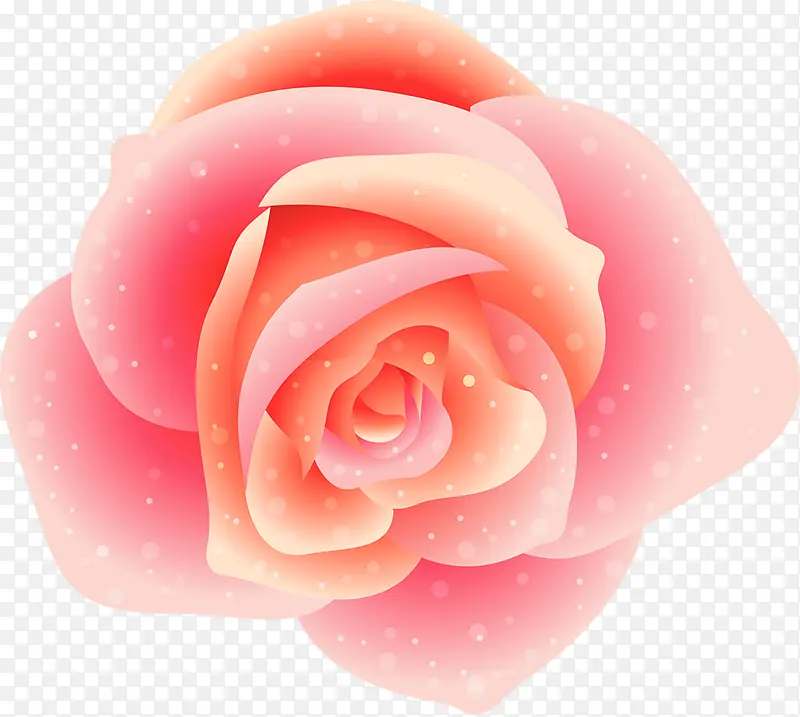 粉红玫瑰花花朵唯美装饰
