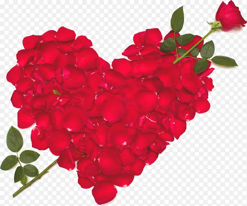 红色玫瑰花瓣心形