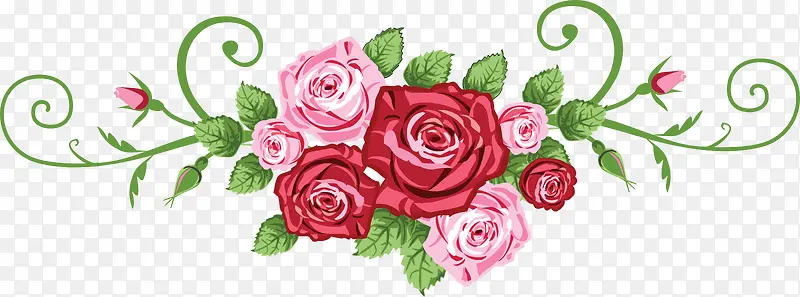 手绘粉红色玫瑰装饰
