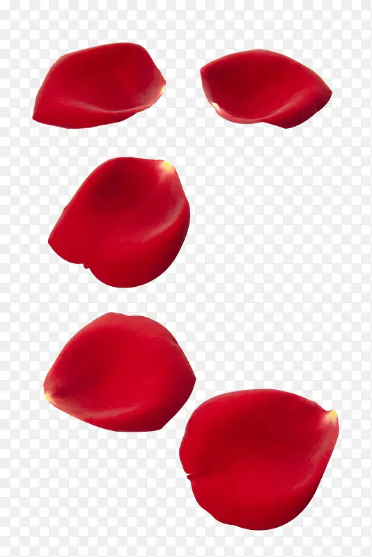 红色花瓣玫瑰花瓣装饰