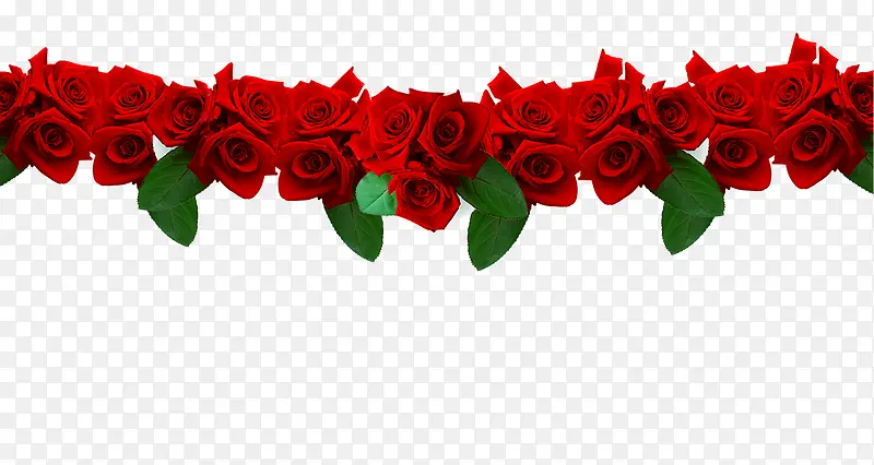 婚庆主题红色玫瑰