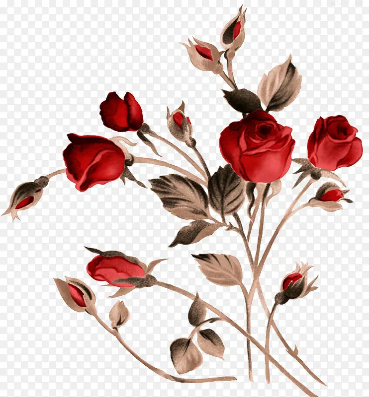 手绘红色玫瑰花朵装饰