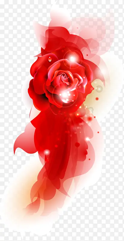 红色玫瑰盛开七夕