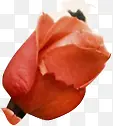 红色热情手绘玫瑰创意