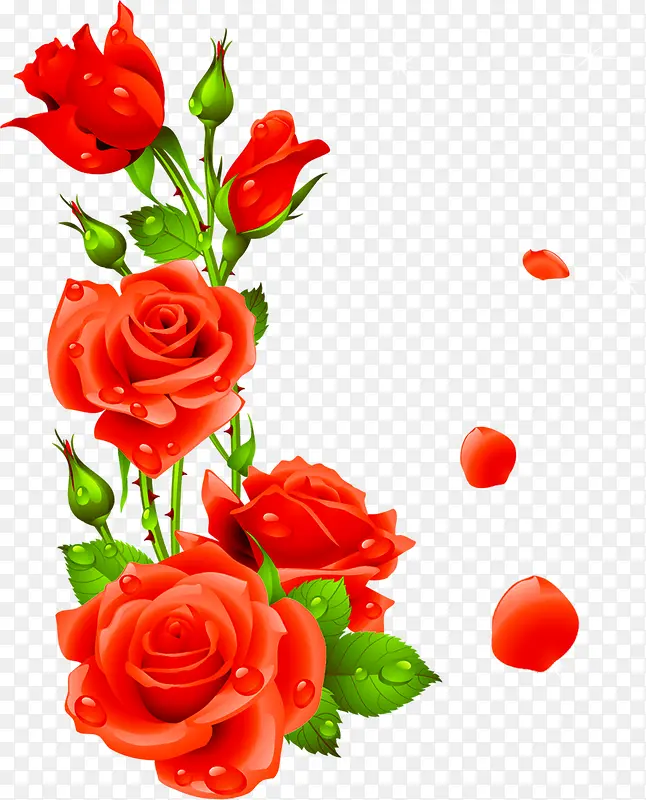 手绘红色婚礼花朵玫瑰