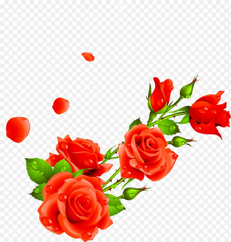 红色玫瑰植物婚庆