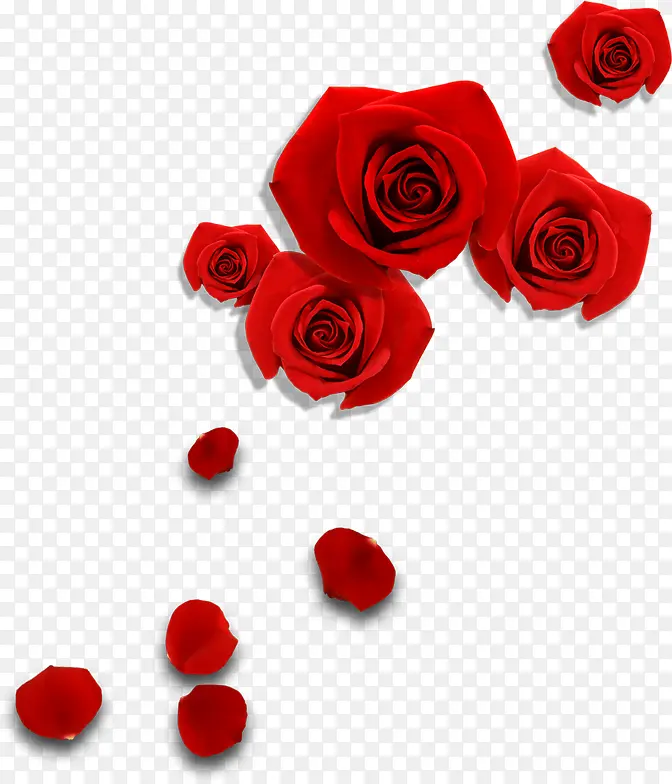 手绘红色玫瑰花朵婚礼