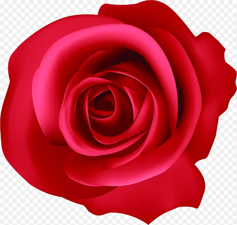 红色玫瑰七夕无框画