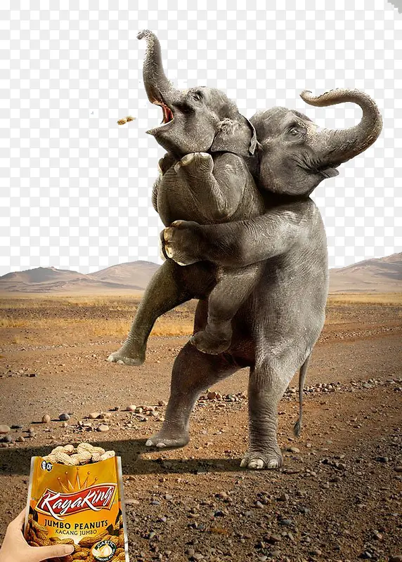 大象抱小象
