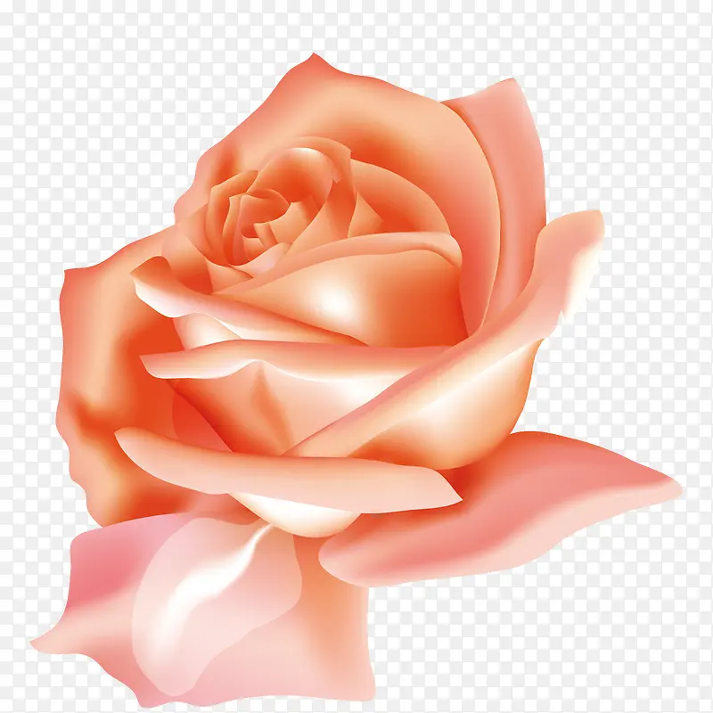 花朵红色