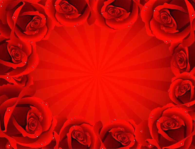 红色玫瑰花朵水珠边框