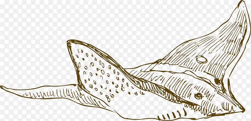 手绘海洋生物