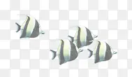 鱼