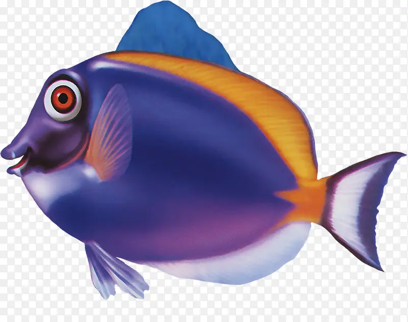 紫色鳊鱼