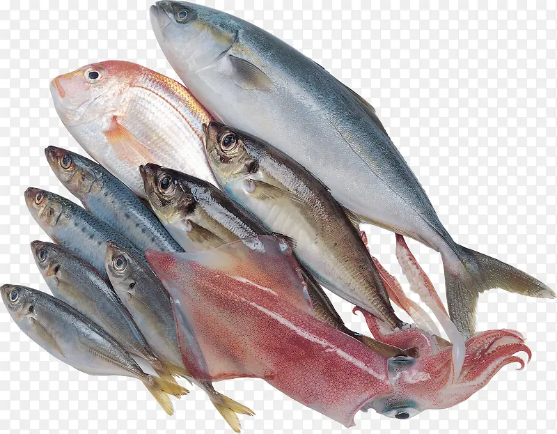 产品实物食物海鲜鱼