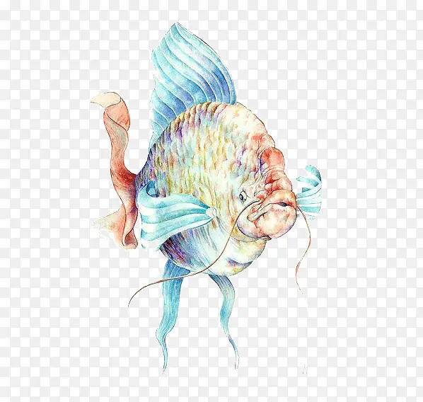 水彩鱼插画
