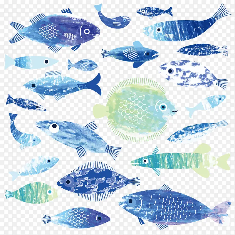 手绘海洋鱼