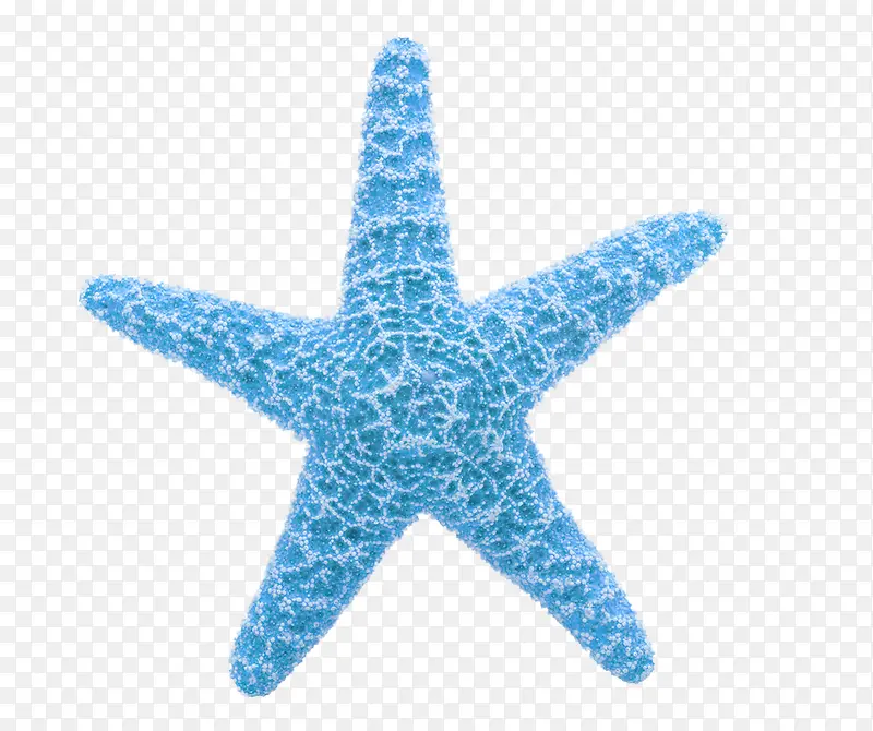 海洋海星素材免抠