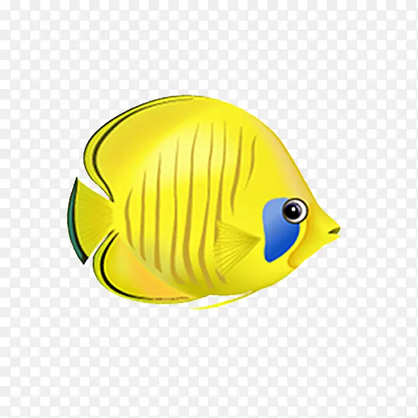 黄色海底鱼