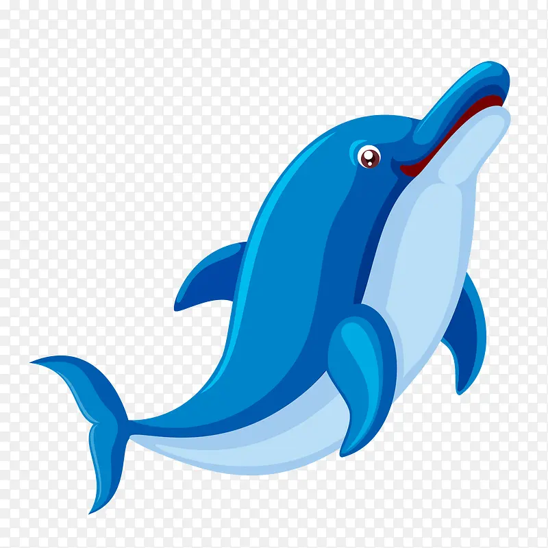 世界海洋蓝色海豚