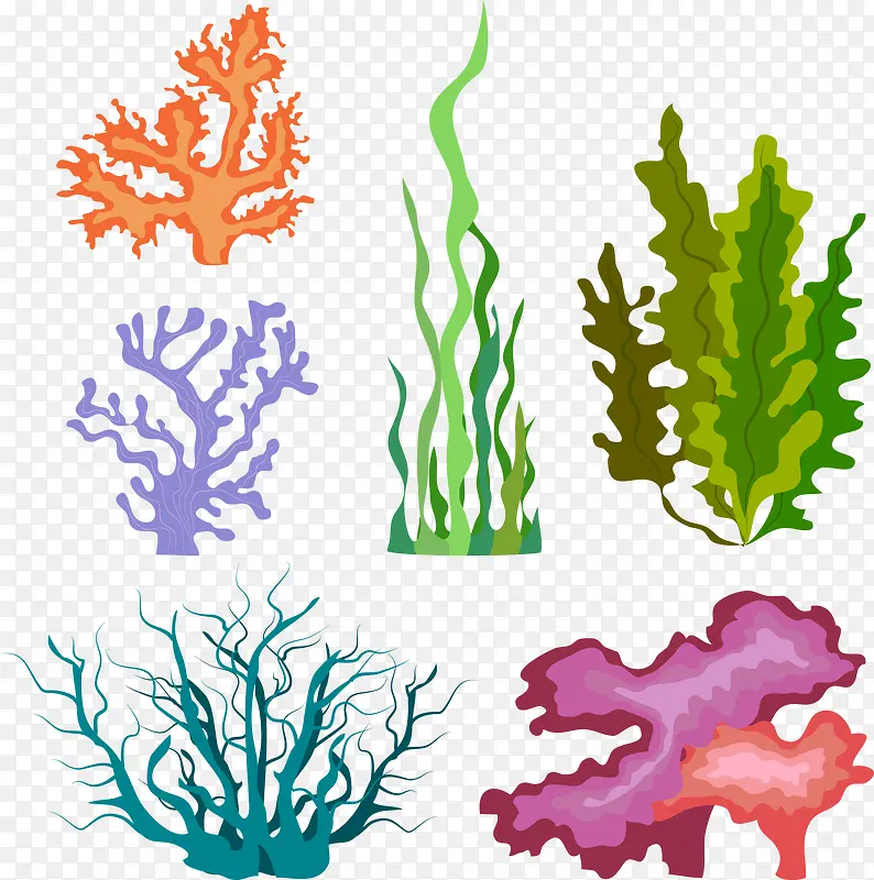 图标海洋植物图标