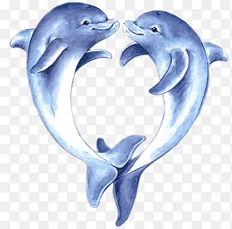 手绘水彩可爱海豚