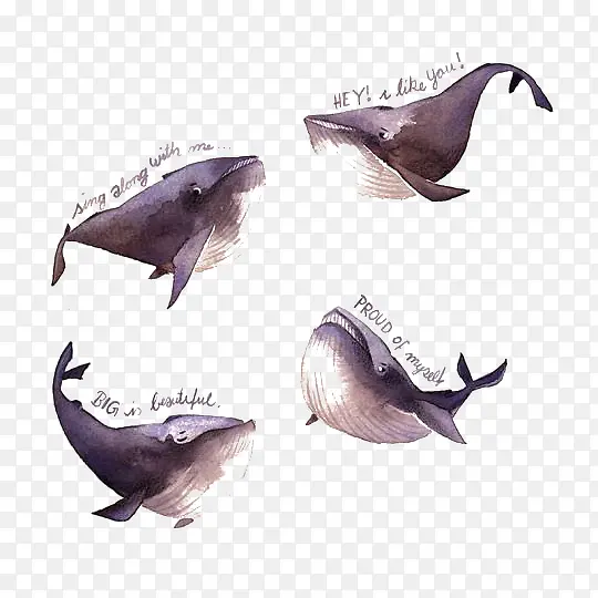 水彩鲸鱼
