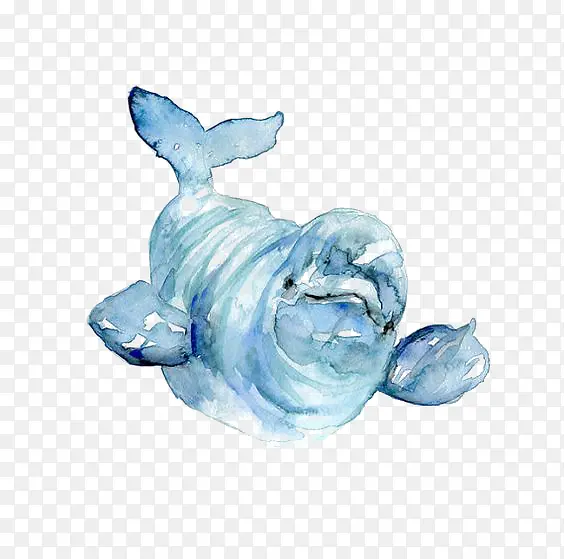 水彩海豹