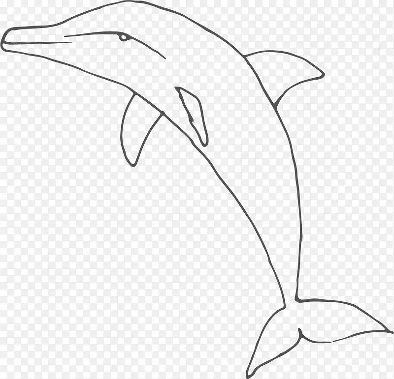 素描海豚