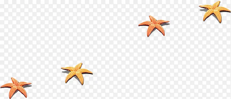 海星