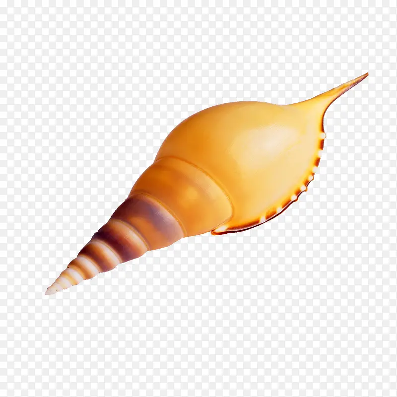 海鲜 海洋生物 水产