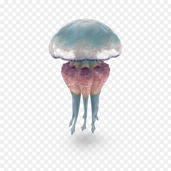 海洋生物水母蓝色