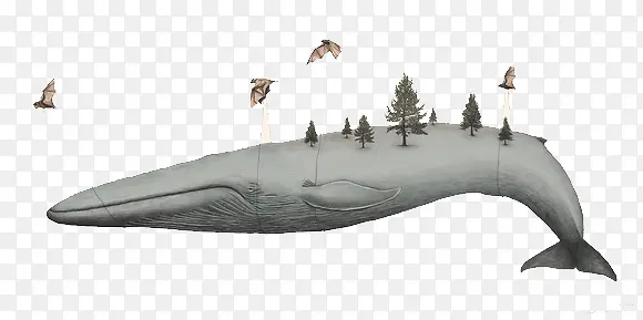 创意鲸鱼山峰卡通装饰