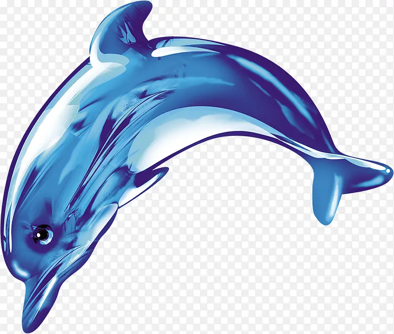 蓝色卡通鲸鱼设计