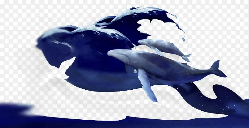 鲸鱼水彩画