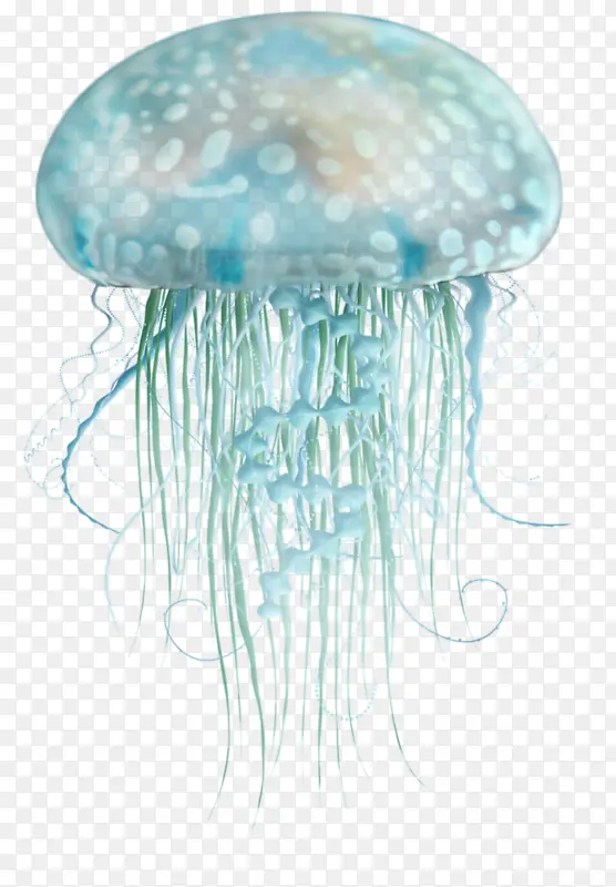 手绘蓝色水母