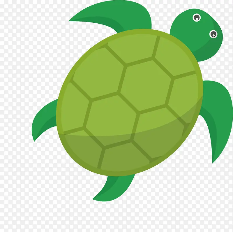 卡通海龟设计