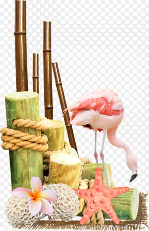 海洋生物