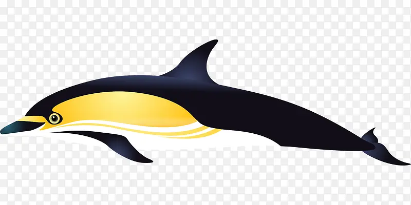 鲸鱼 