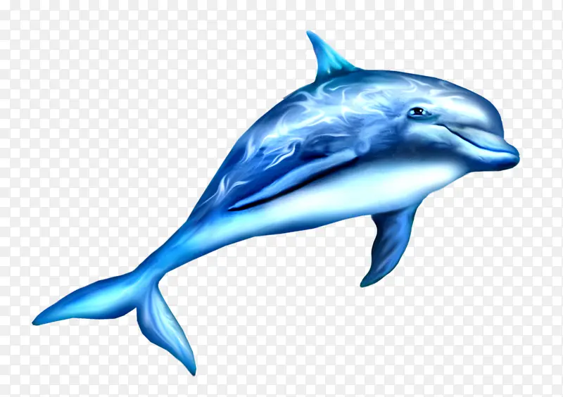 蓝色手绘鲸鱼
