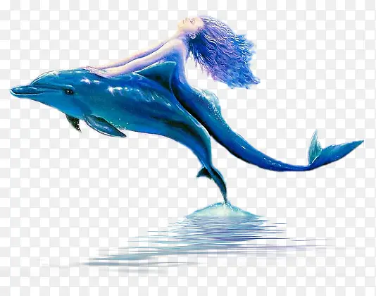 海豚