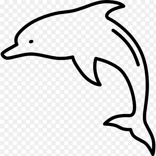 海豚跳跃图标