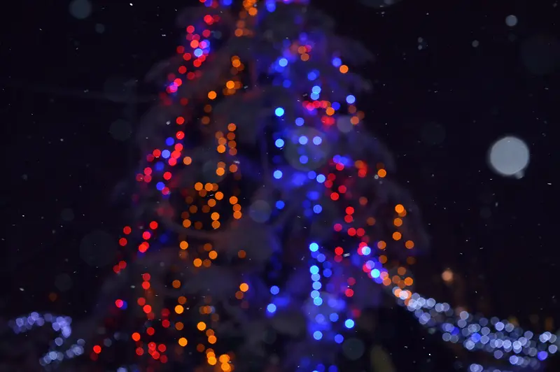 夜空模糊美丽圣诞树